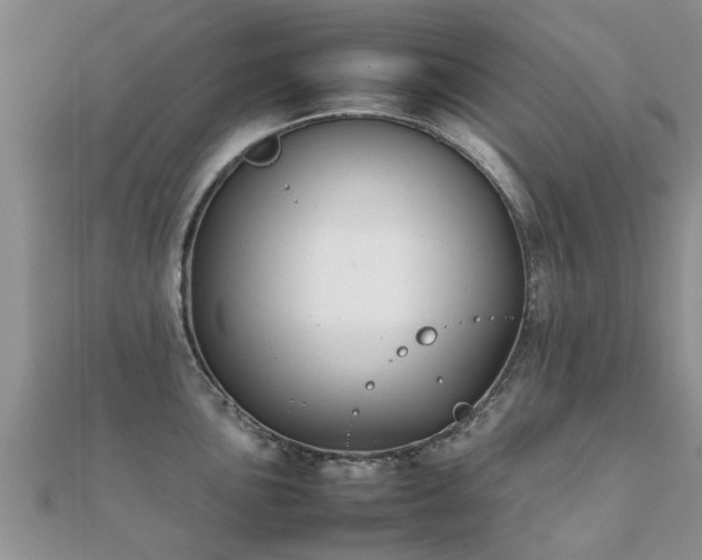 X0000112071051200908111429