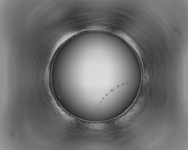 X0000112071053200908111429