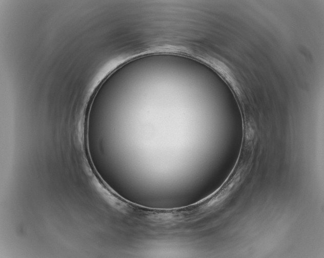 X0000112071054200908111429