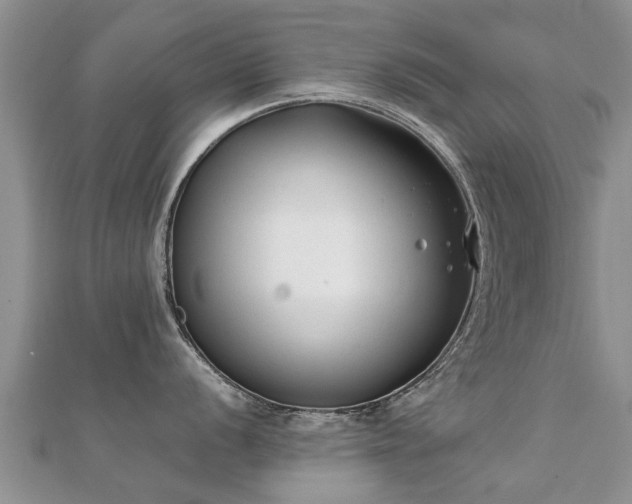 X0000112071056200908111429