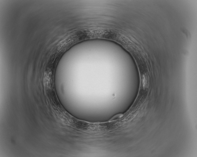 X0000112071059200908111428