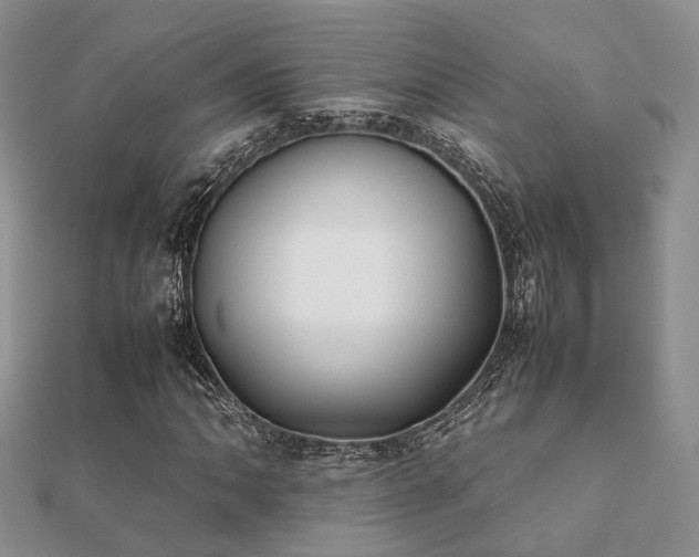 X0000112071062200908111428