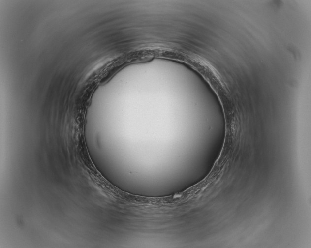 X0000112071064200908111428