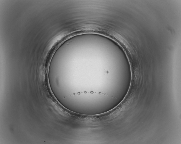 X0000112071067200908111428