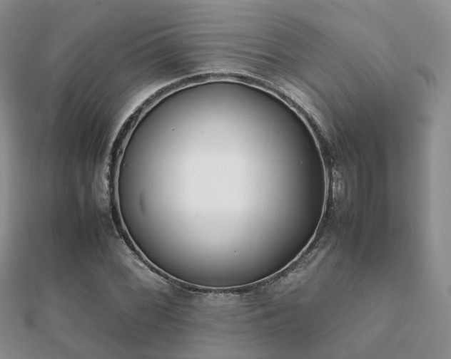 X0000112071068200908111428