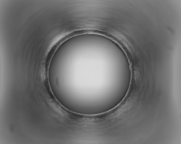 X0000112071069200908111428