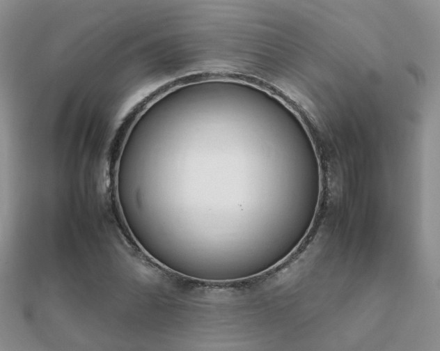 X0000112071070200908111428