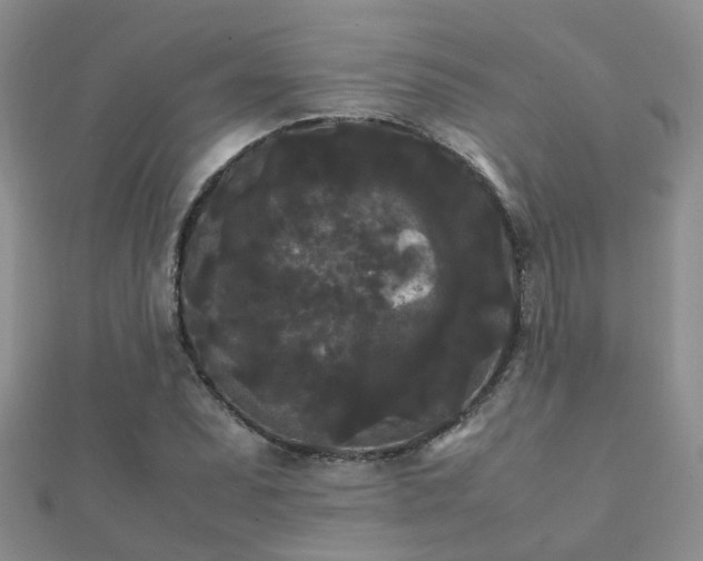 X0000112071071200908111428