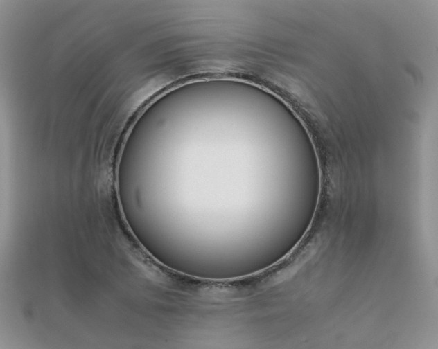 X0000112071073200908111428