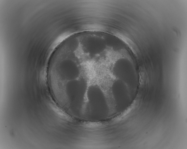 X0000112071074200908111428