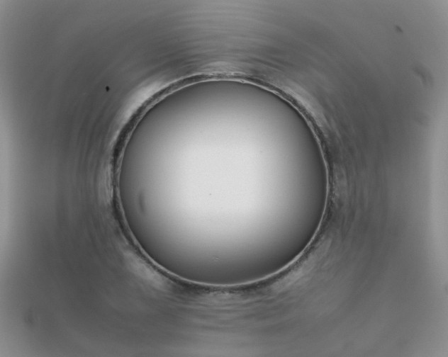 X0000112071075200908111428