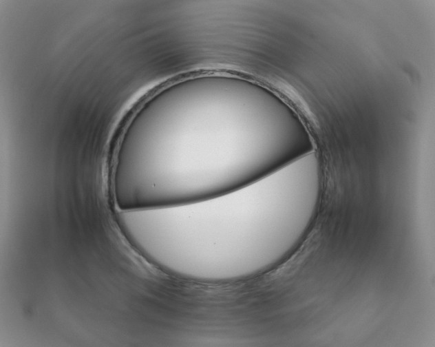 X0000112071076200908111428