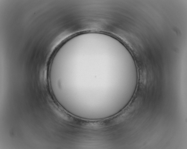 X0000112071078200908111428