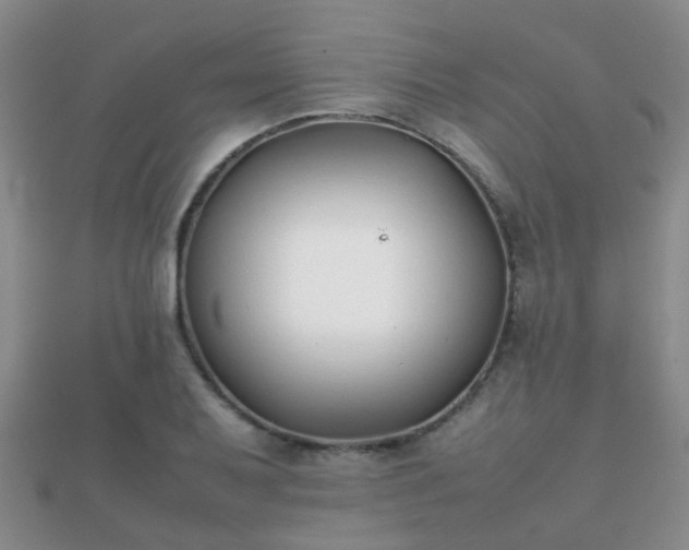 X0000112071079200908111428