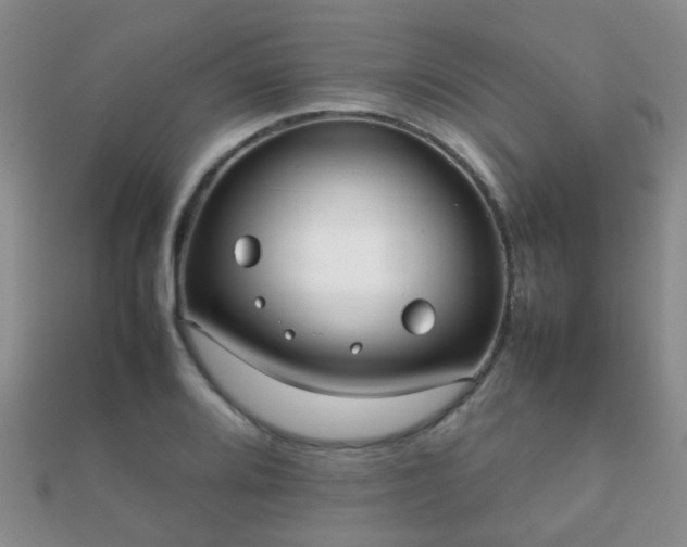 X0000112071080200908111428