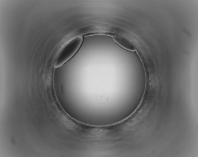 X0000112071081200908111428