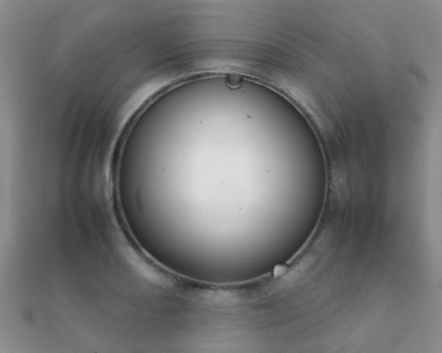 X0000112071082200908111428