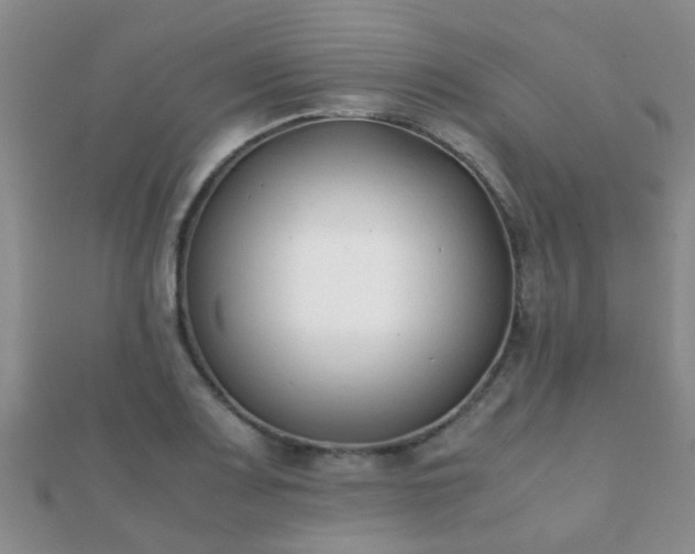 X0000112071083200908111428