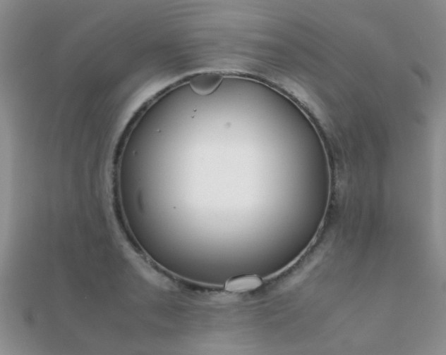 X0000112071085200908111428