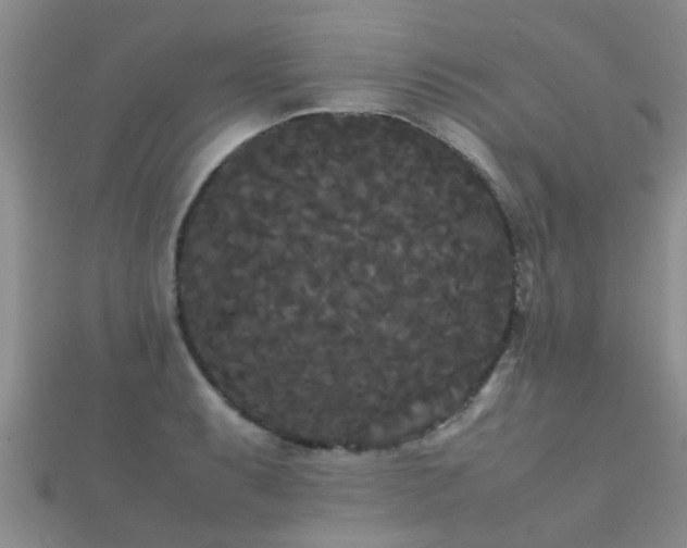 X0000112071087200908111428