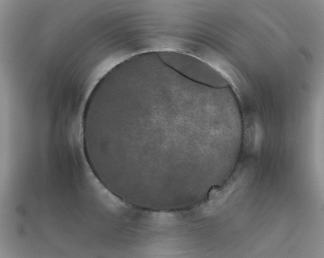 X0000112071088200908111428