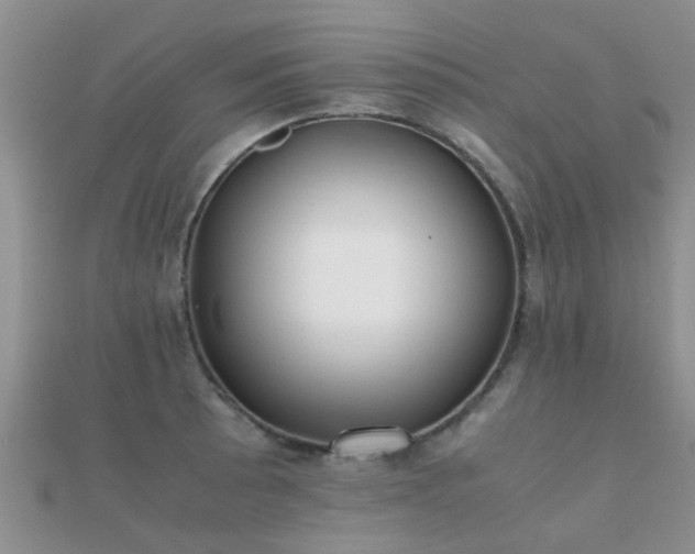 X0000112071089200908111428