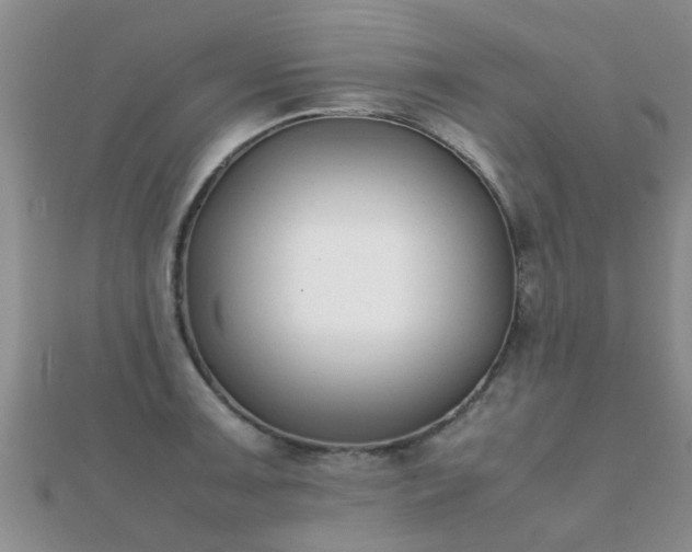 X0000112071091200908111428