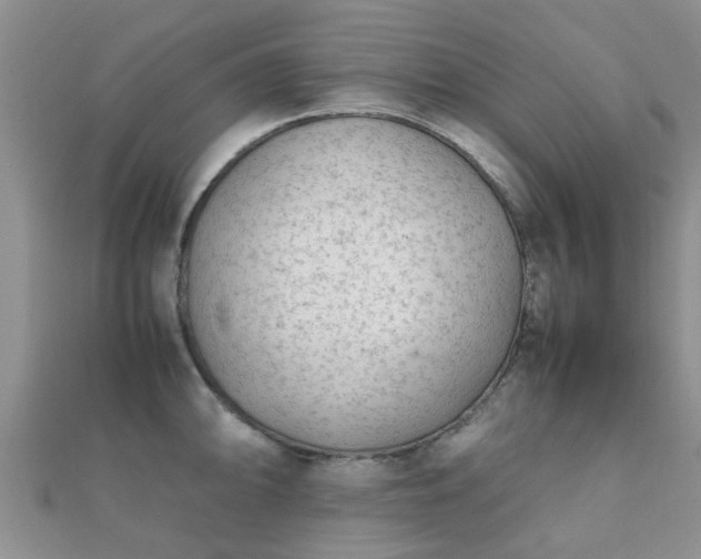 X0000112071094200908111428