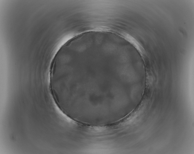 X0000112071095200908111428