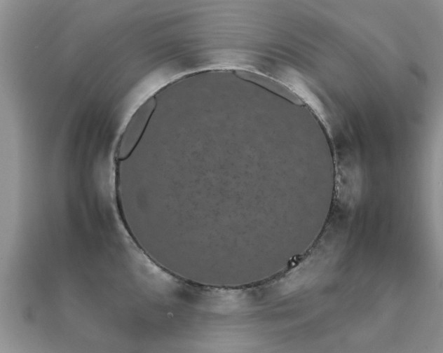 X0000112071096200908111428