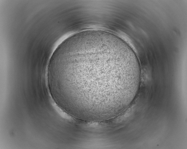 X0000112071098200908111428