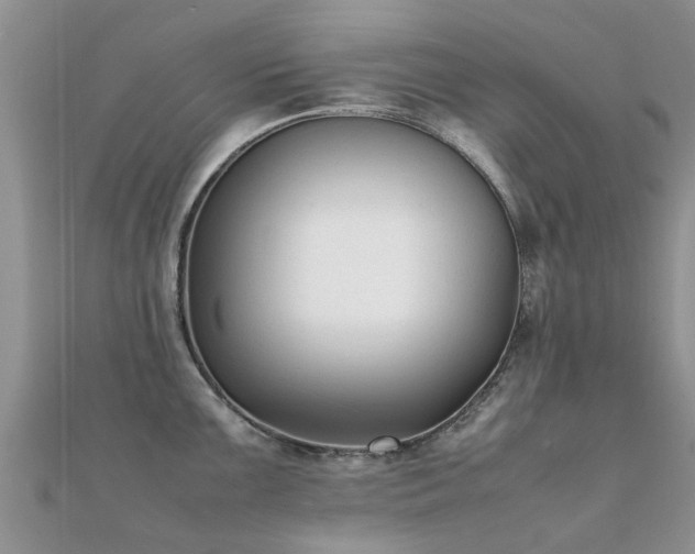 X0000112071099200908111428