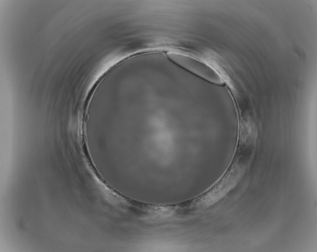 X0000112071101200908111427