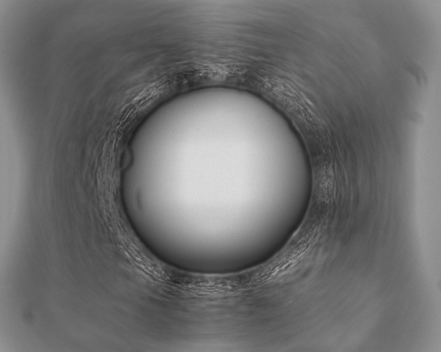 X0000112071105200908111427