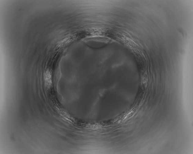 X0000112071106200908111427