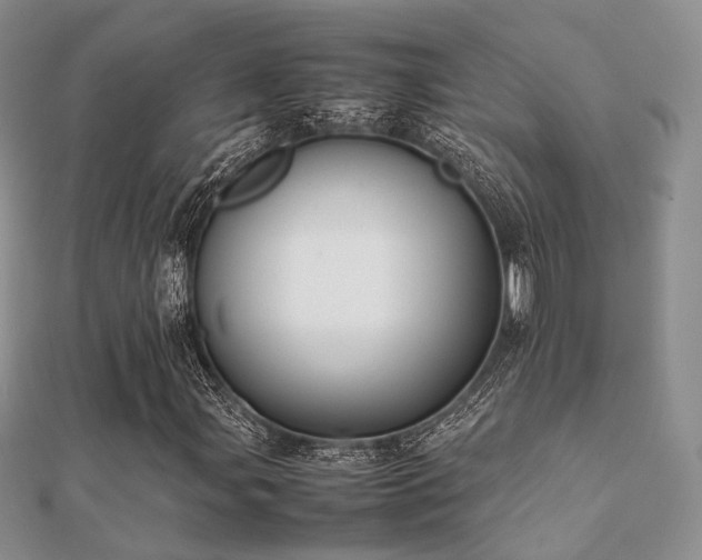 X0000112071107200908111427