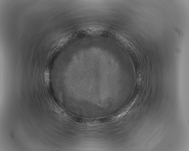 X0000112071108200908111427