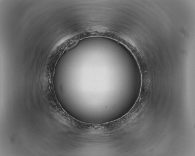 X0000112071112200908111427