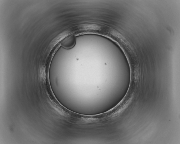 X0000112071113200908111427