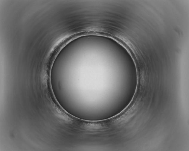 X0000112071115200908111427