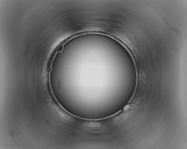 X0000112071119200908111427