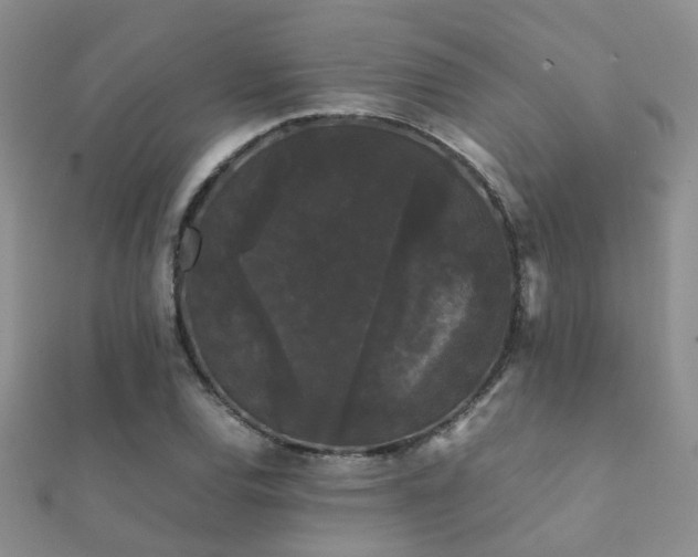 X0000112071120200908111427