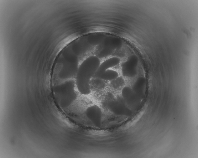 X0000112071121200908111427