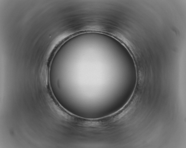 X0000112071123200908111427