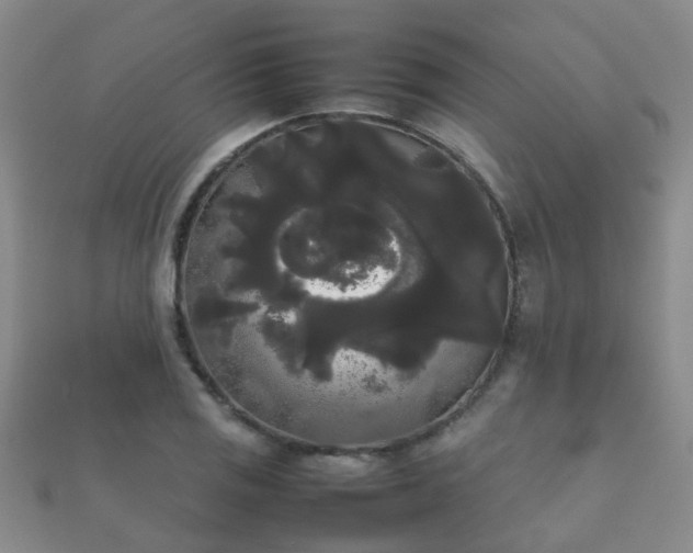 X0000112071125200908111427