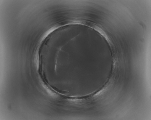 X0000112071127200908111427