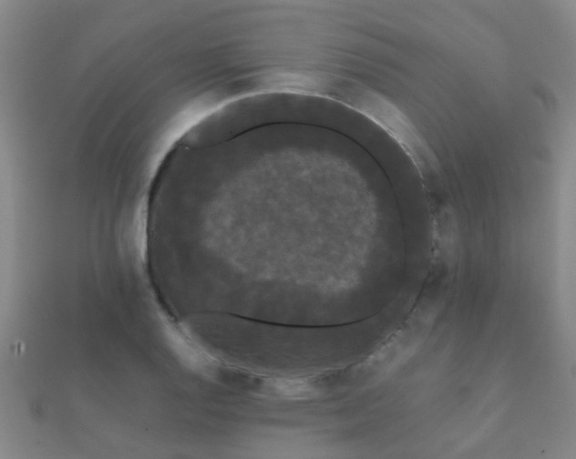 X0000112071128200908111427