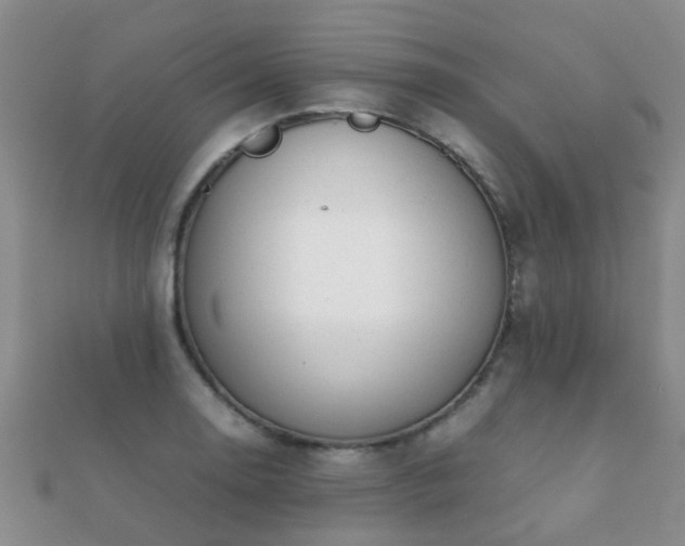 X0000112071130200908111427