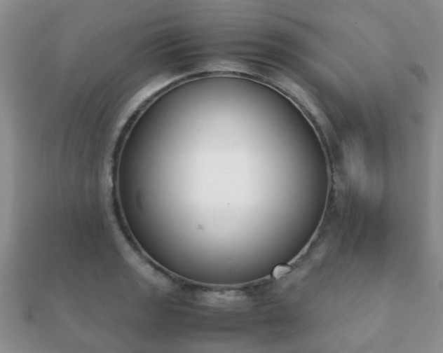 X0000112071133200908111427