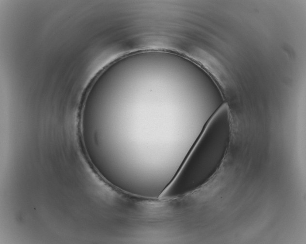 X0000112071134200908111427